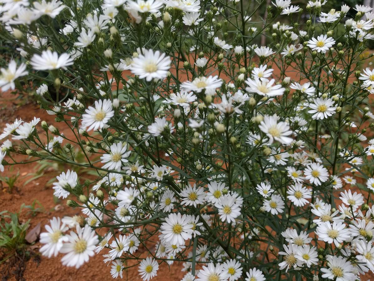 קראבי Pantharee Resort מראה חיצוני תמונה